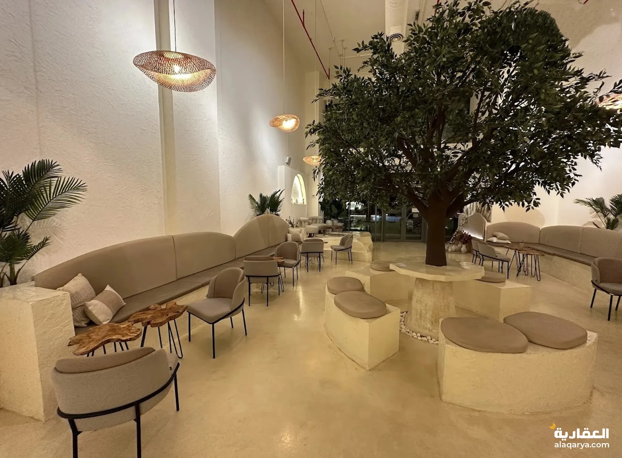 #كافيه موقع مميز للتقبيل