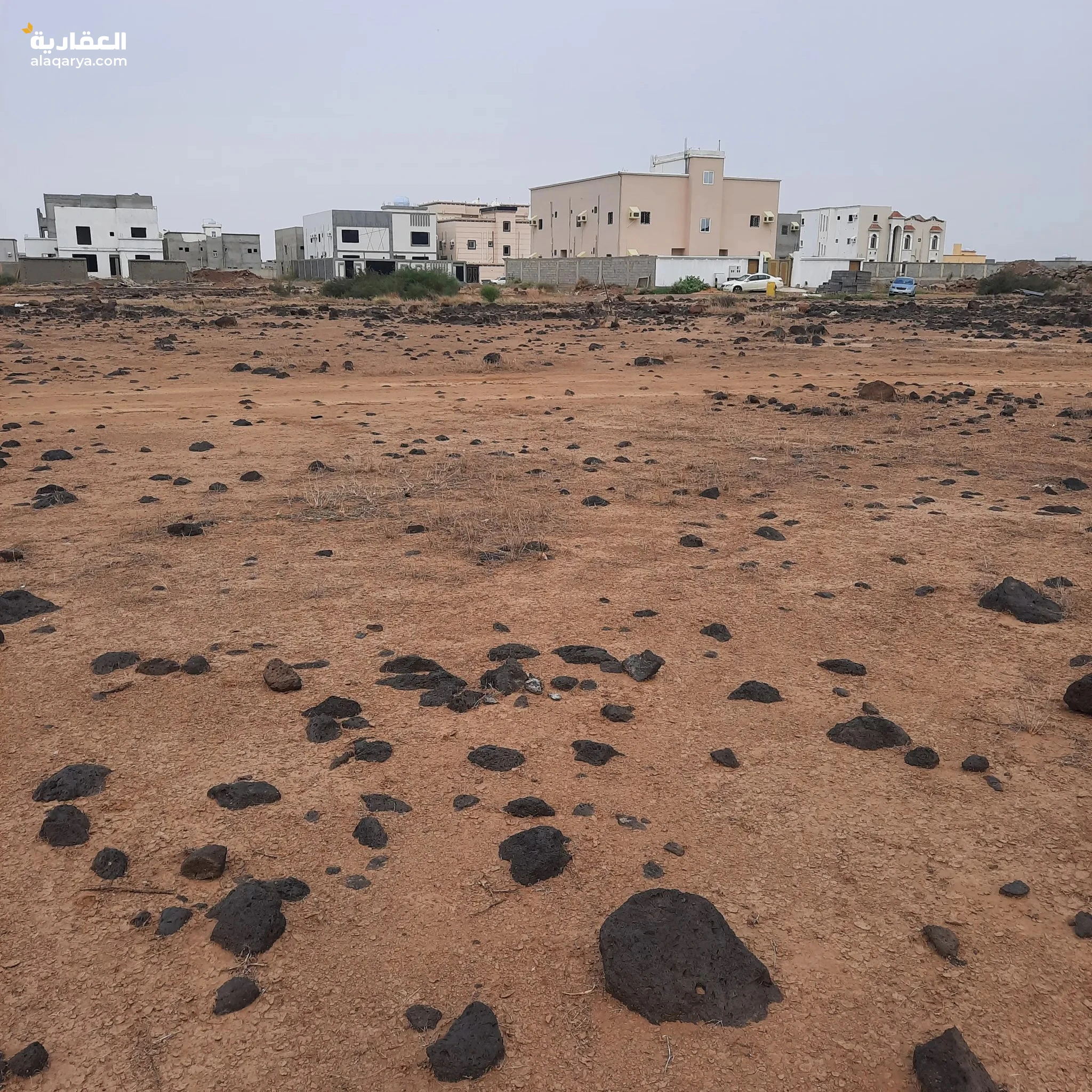 #بيع ارض مخطط رح ابوعريش